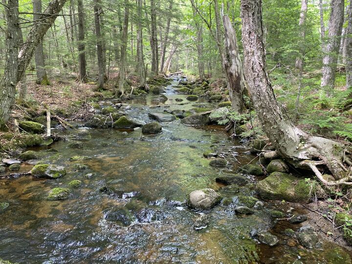 Property Photo:  783 Half Township Road  ME 04457 