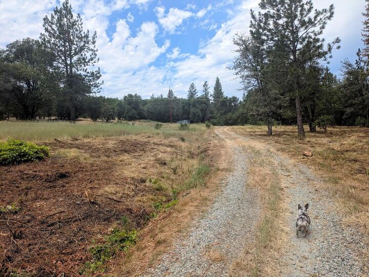 Property Photo:  12998 Tyler Foote Road  CA 95959 