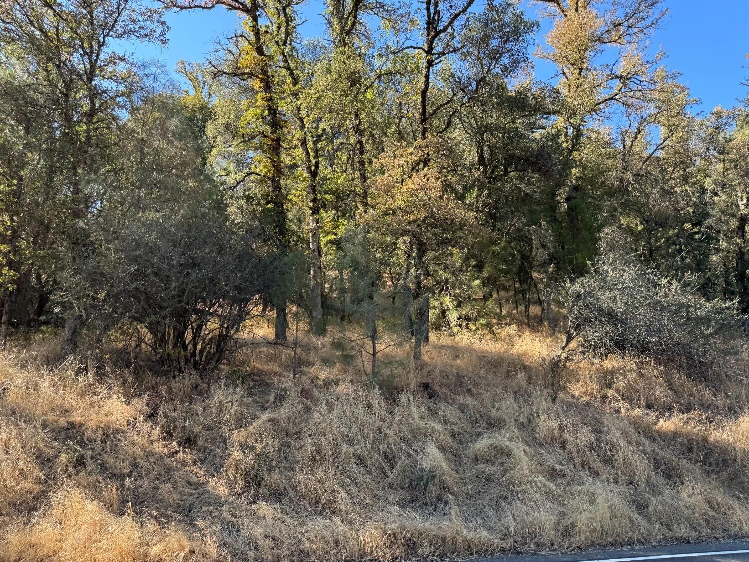 Property Photo:  17022 Brewer Road  CA 95949 