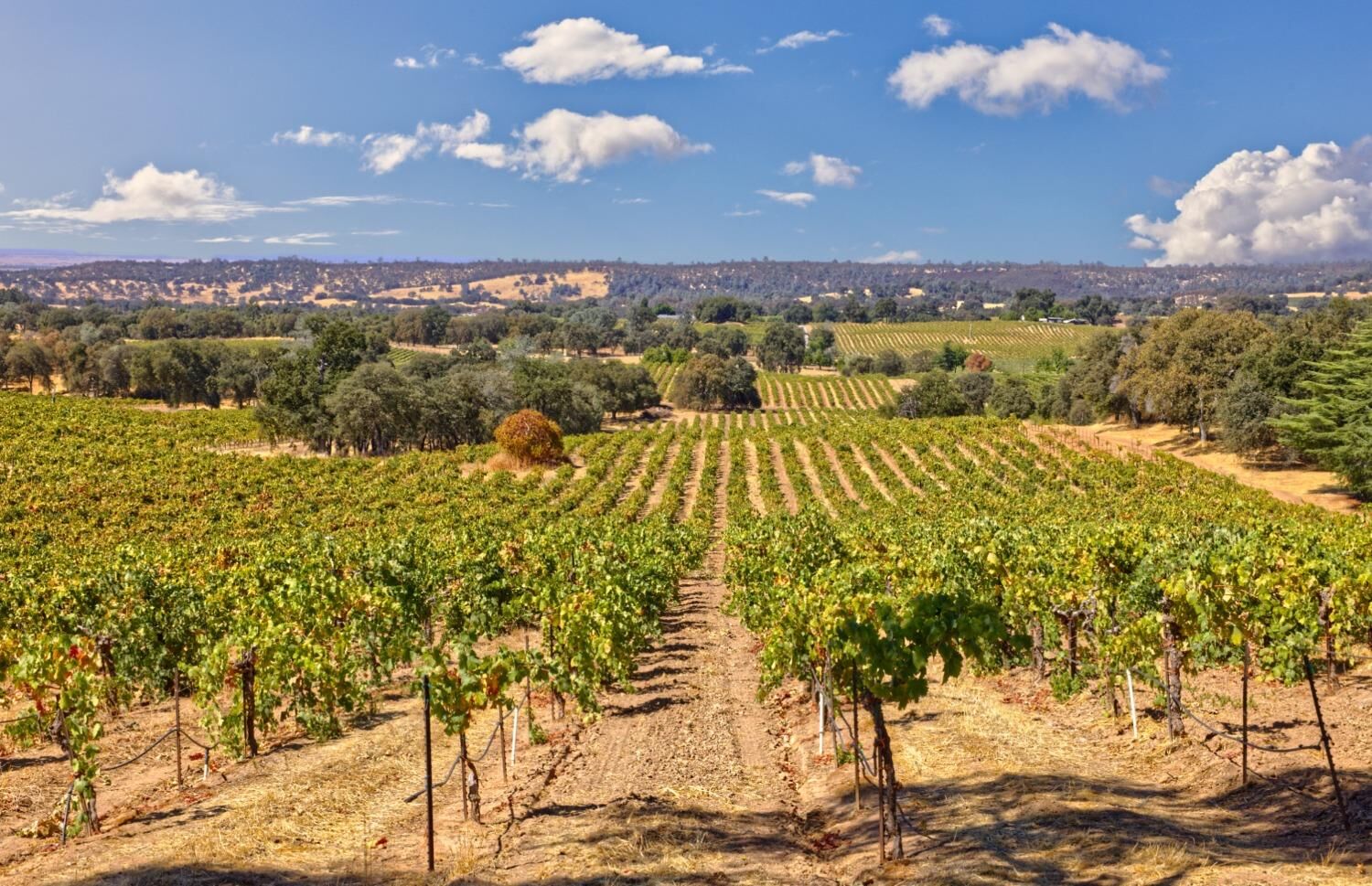 Property Photo: 0 Shenandoah School Road CA 95669