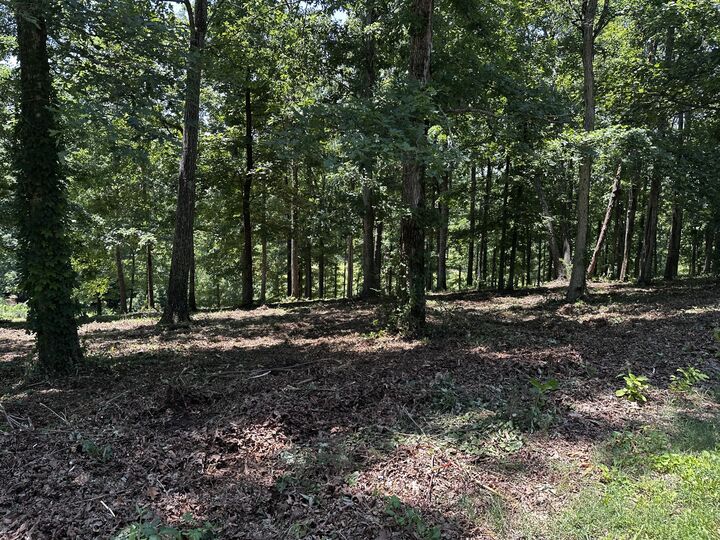 Property Photo:  196 Fairway Circle  TN 38469 