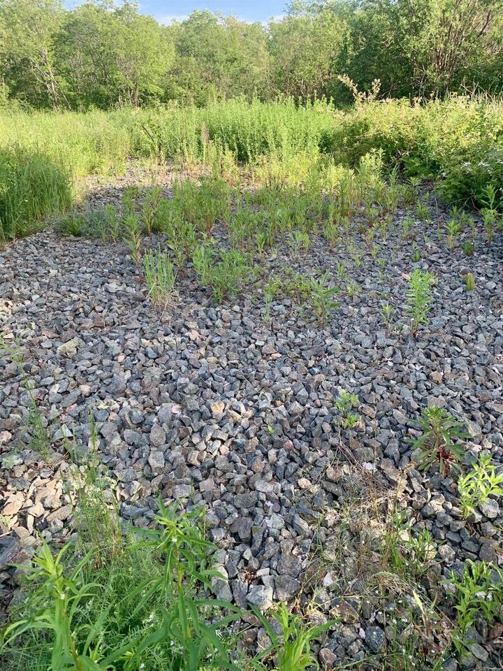 Property Photo:  205 Thomas Dickson Road  NS B0M 1V0 