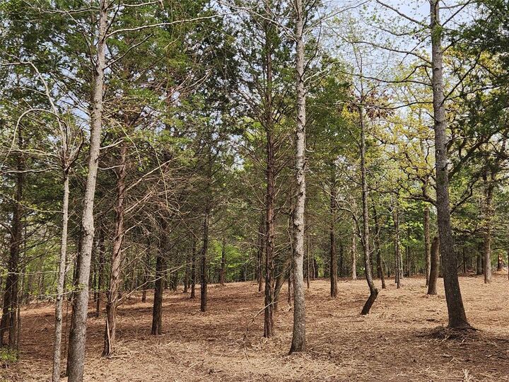 Property Photo: Lot 465 Cr-4710 TX 75770