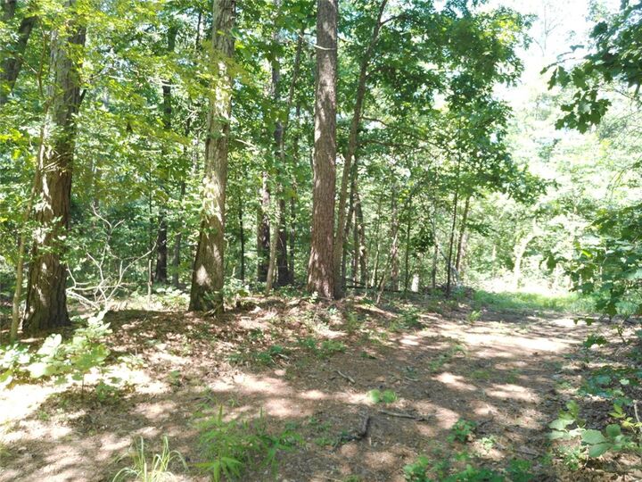 Property Photo: 1029 Bear Hollow Road MO 64856