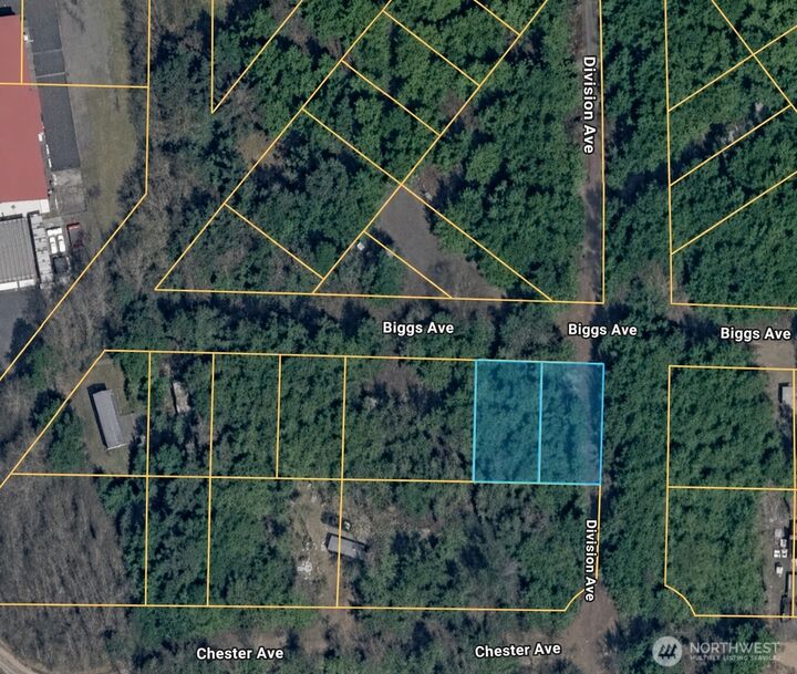 Property Photo:  8  Biggs Avenue  WA 98550 