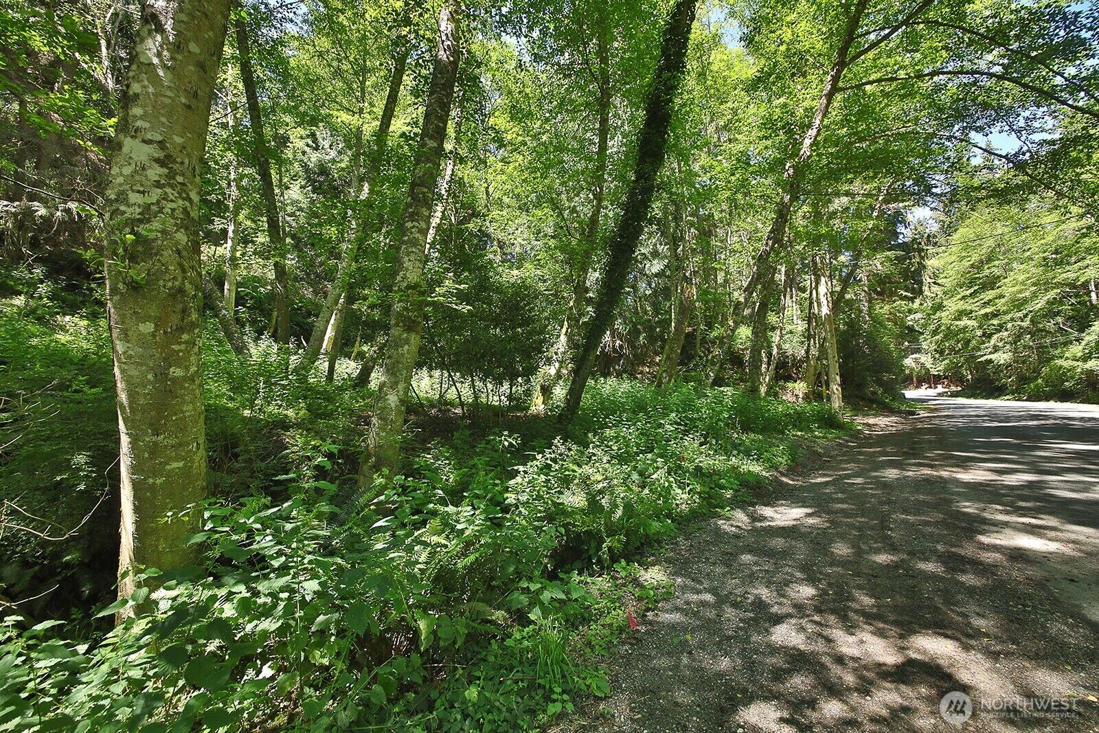 Property Photo: 0 Xxx George Drive WA 98236