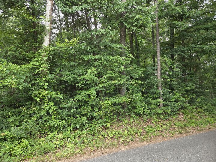 Property Photo:  0 Co Rd 156  TN 37370 