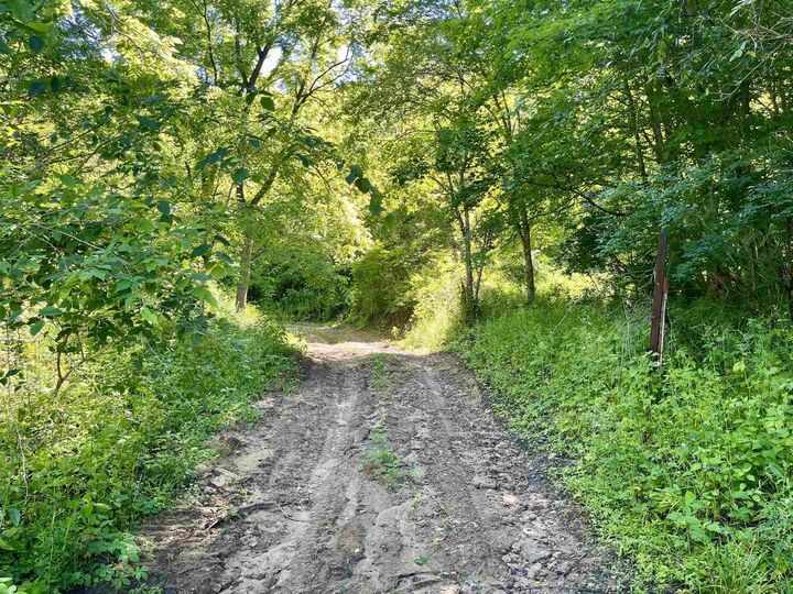 Property Photo:  Highway 131  WI 54631 