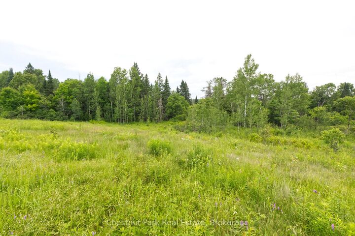 Property Photo:  Lot 78 141 Highway  ON P0C 1J0 