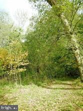 Property Photo:  25140 Silver Crest  MD 20882 