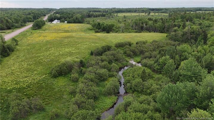 Property Photo:  Lot 1 Route 134  NB E4X 1N5 