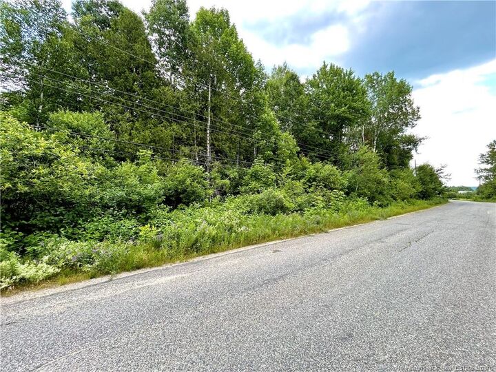 Property Photo:  2 Hectares Kanes Lane  NB E9E 1H7 