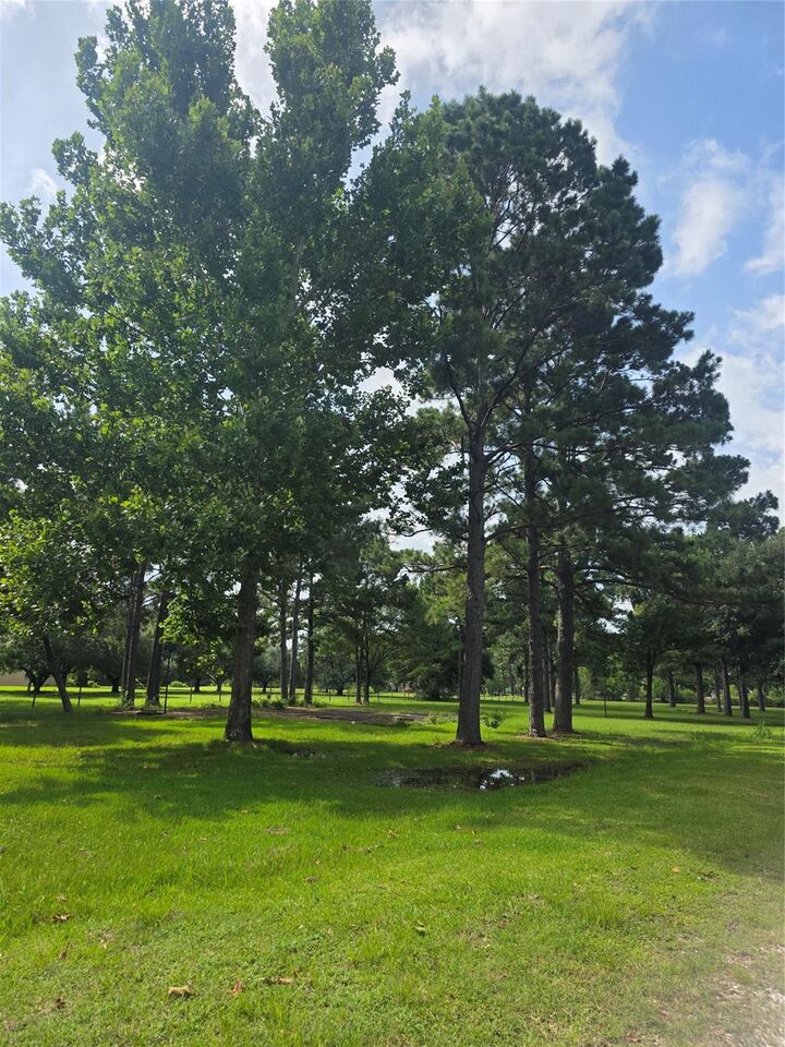 Property Photo:  910 Sundown Meadows Street  TX 77532 