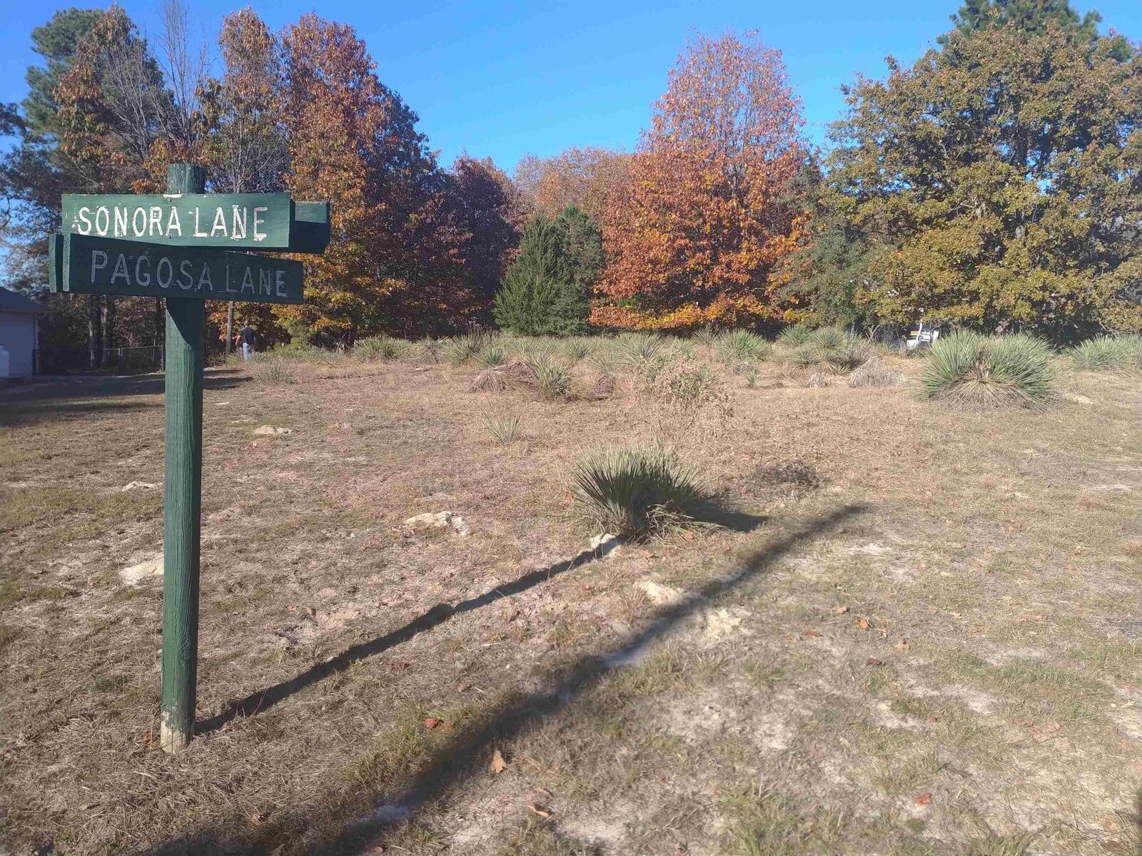 Property Photo:  Tbd Lot Pagosa  TX 75765 