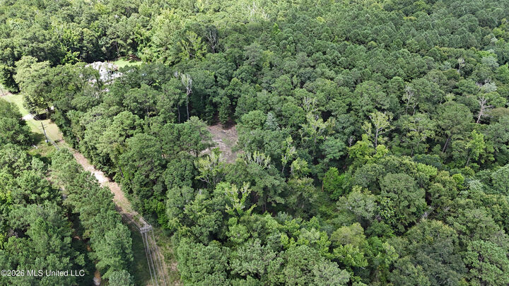 Property Photo:  Old Dees Drive  MS 39565 