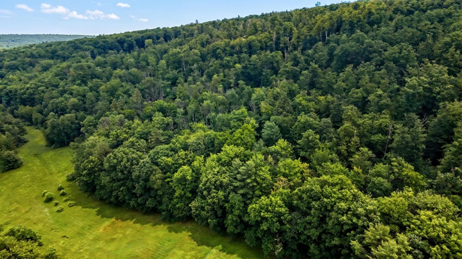 Property Photo:  00 Hurricane Road  NH 03467 