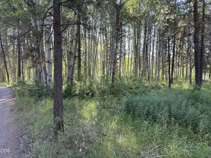 Property Photo:  0 Highway 62  OR 97624 