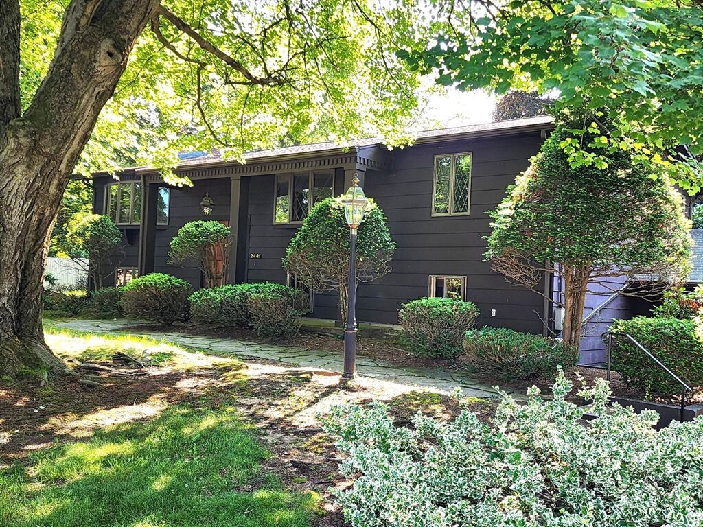 Property Photo:  244 Lathrop Street  MA 01075 