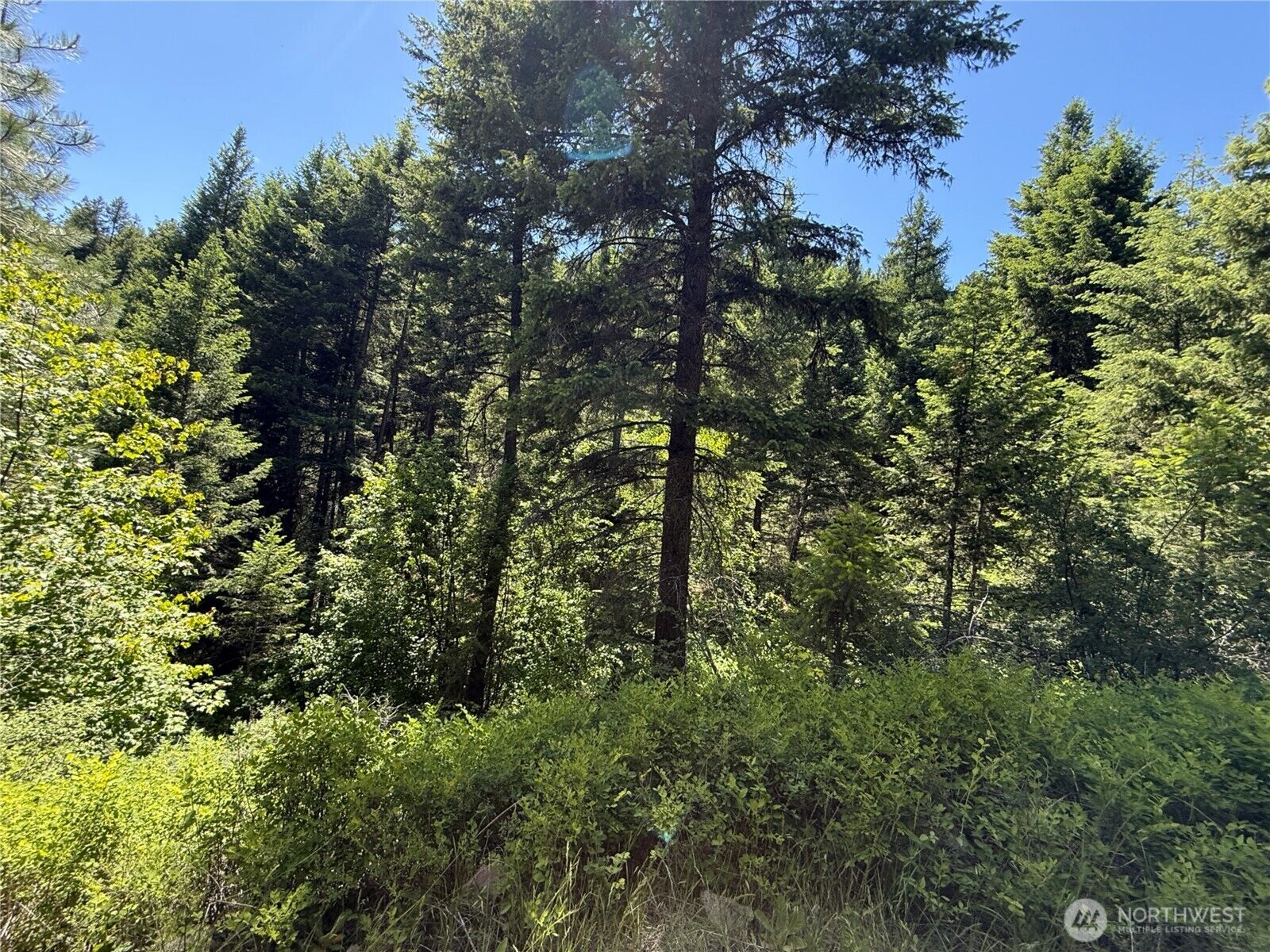 Property Photo:  0 Tbd  Toroda Creek Road  WA 98859 