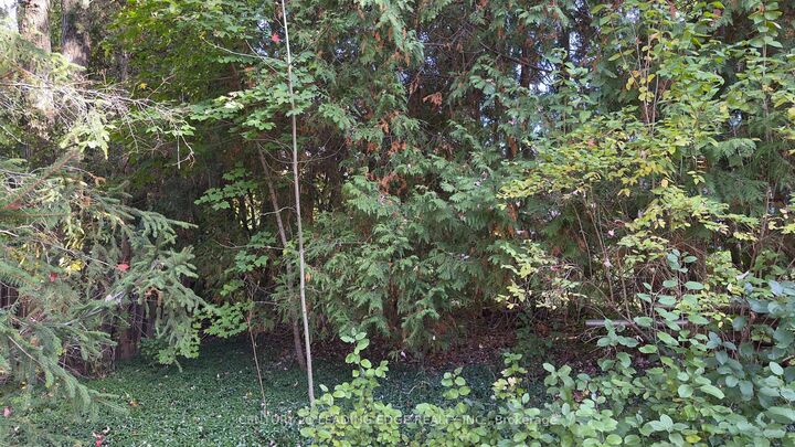 Property Photo:  117 Westwood Lane  ON L4C 6X8 