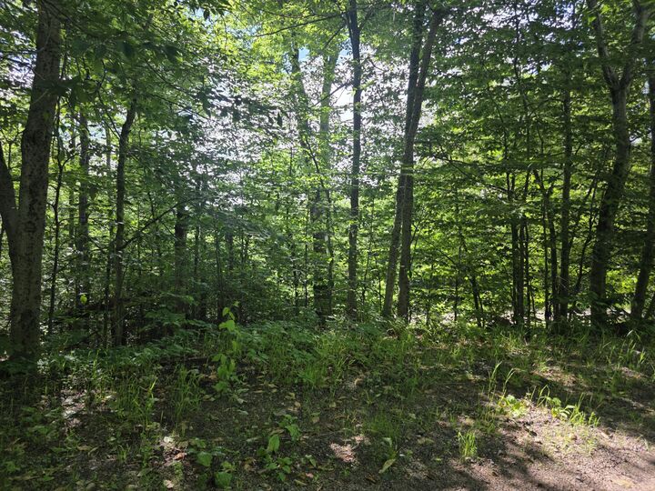 Property Photo:  0 Nashville Road  NY 12981 