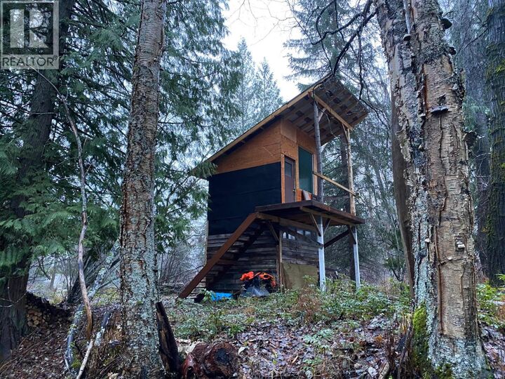 Property Photo:  00 Slocan Valley West Road  BC V0G 2E0 