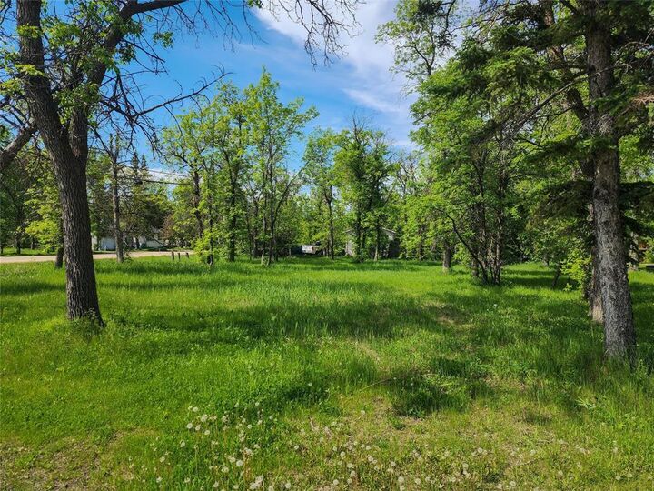 Property Photo:  355 Temple Avenue  MB R0C 3G0 