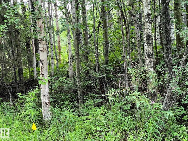 Property Photo:  2130 2001 Twp Rd 474  AB T0C 2P0 