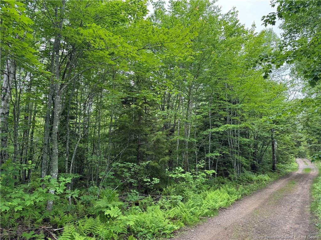 Property Photo:  Lot Mahoney Road  NB E4L 1P1 