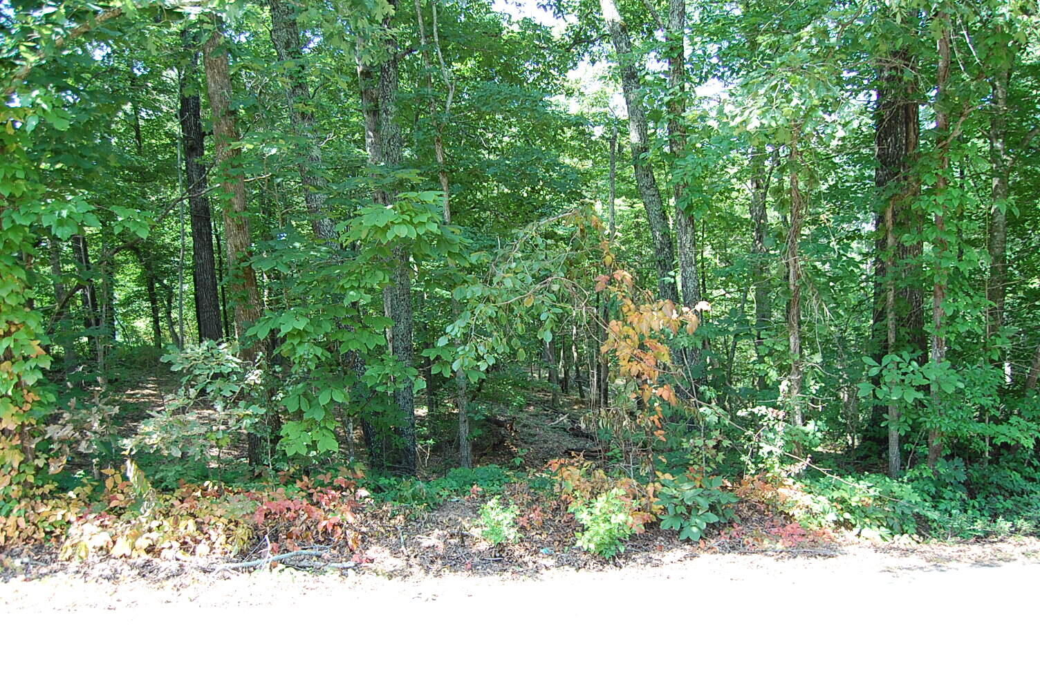 Property Photo:  65 Dogwood Lane  TN 37327 