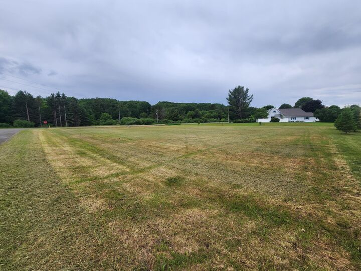Property Photo:  000 Bradford Road  MI 49660 