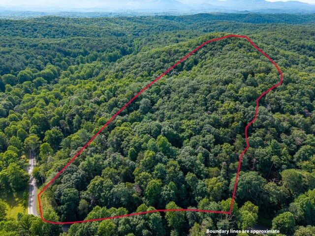 Property Photo:  5198 Flat Branch Road  GA 30540 