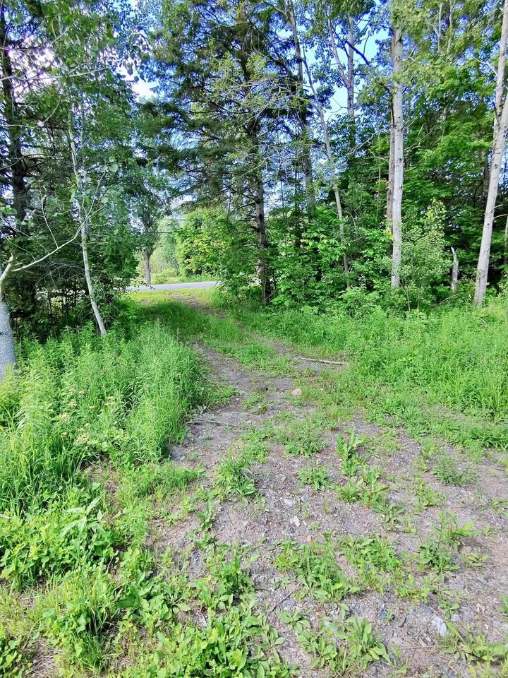 Property Photo:  Highway 14  NS B0N 2A0 