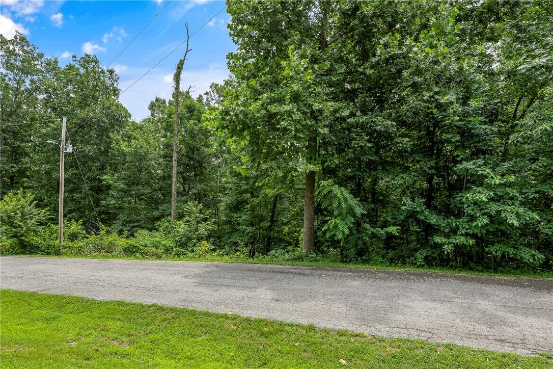 Property Photo:  Sanquhar Lane  AR 72715 