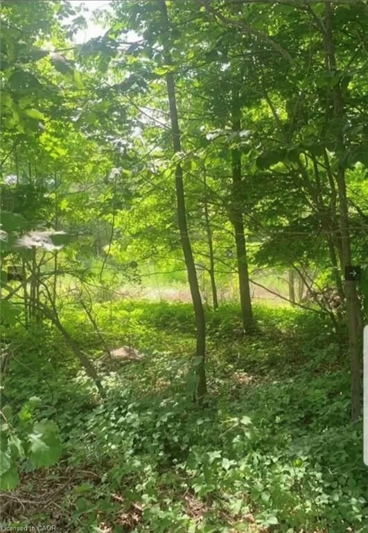 Photo de la propriété:  Lot 12 Suter Drive  ON K0M 1B0 