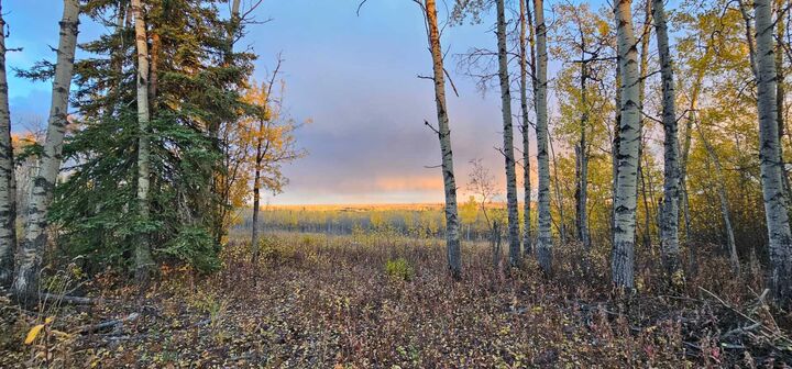 SE-27-79-9-W6 92 Range Road — photo 1