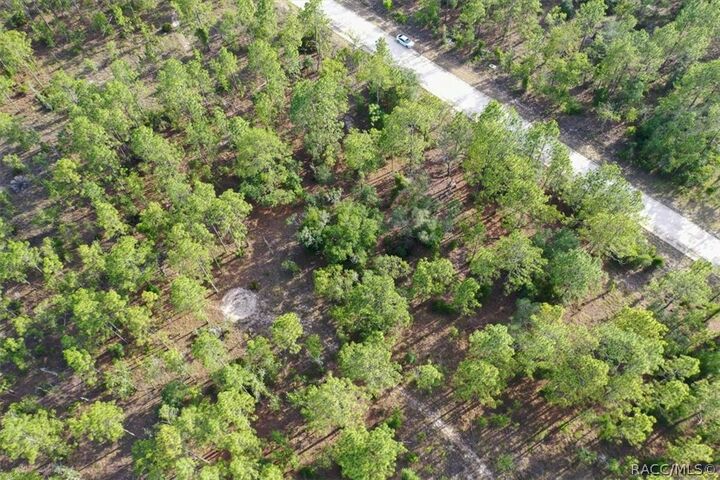 Property Photo:  0000 NE 131st Lot 9 Terrace  FL 32696 