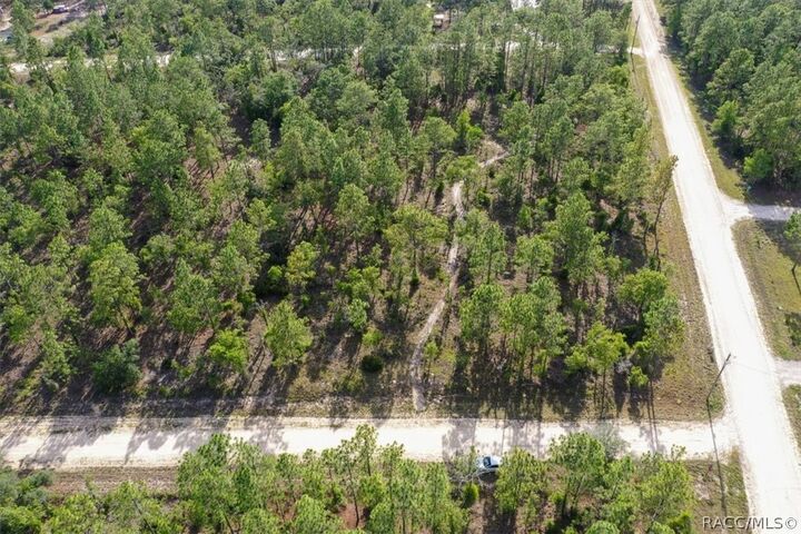 Property Photo:  0000 NE 132nd Lot 1 Terrace  FL 32696 