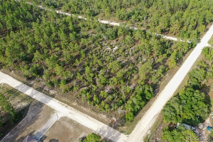 Property Photo:  0000 NE 131st Lot 6 Terrace  FL 32696 