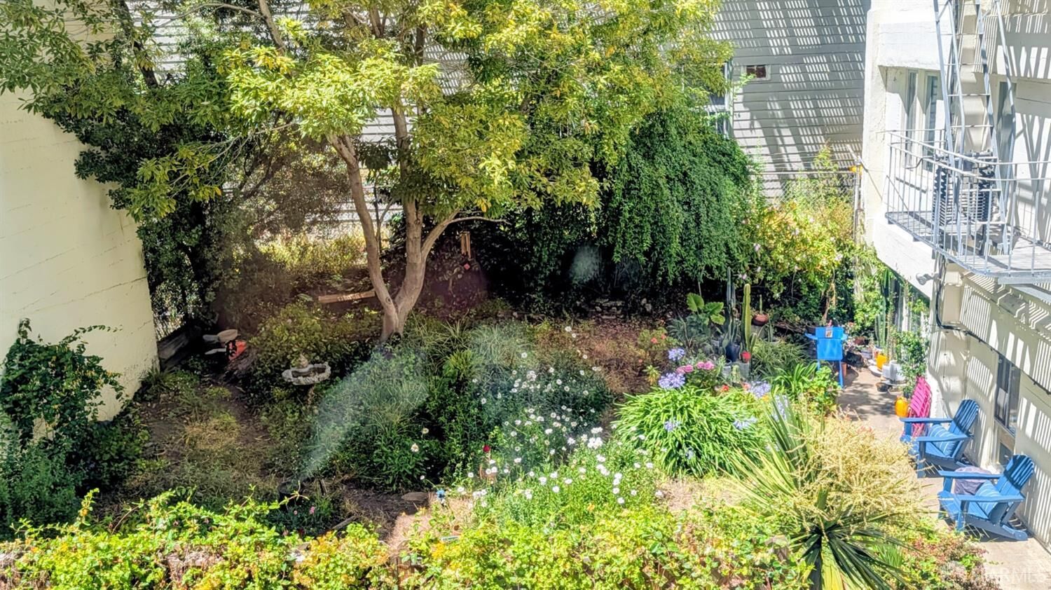 Property Photo:  1030 Bush Street 3  CA 94109 
