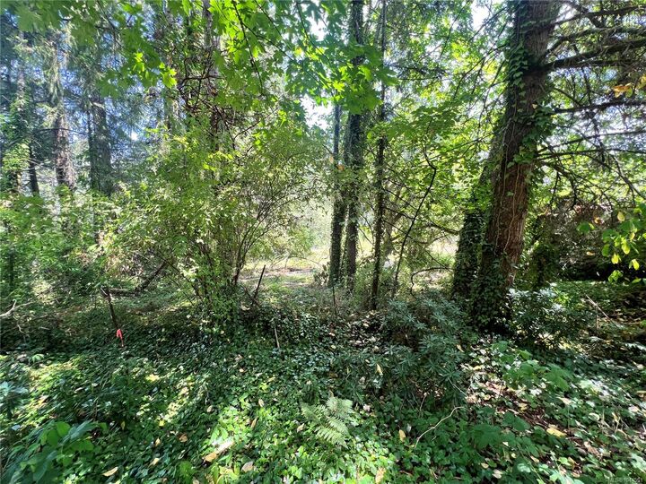 Property Photo:  Lot B Chemainus Rd  BC V0R 1K5 
