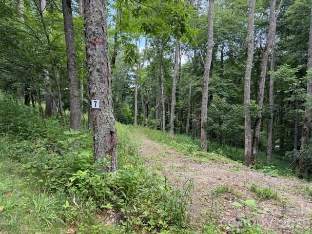 Property Photo: Lot 7 Gadohi Trail 7 NC 28751