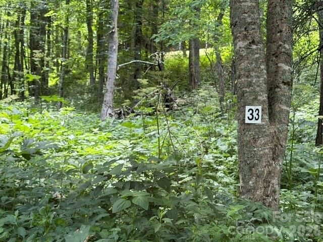 Property Photo:  Lot 33 Toi Trail 33  NC 28751 