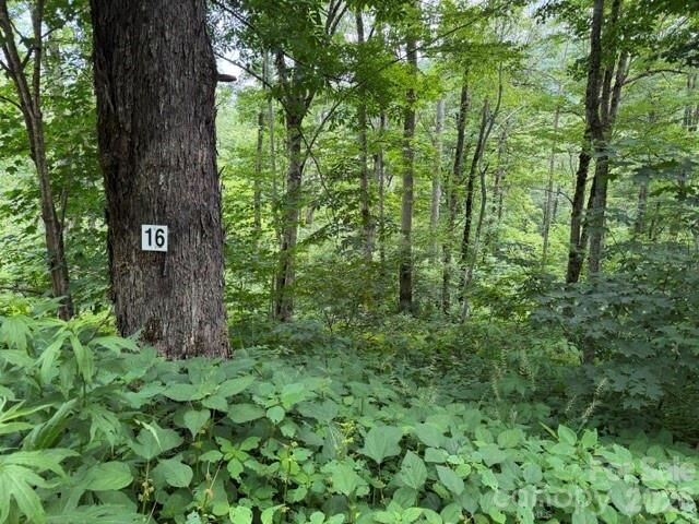 Property Photo: Lot 16 Iga Trail 16 NC 28751