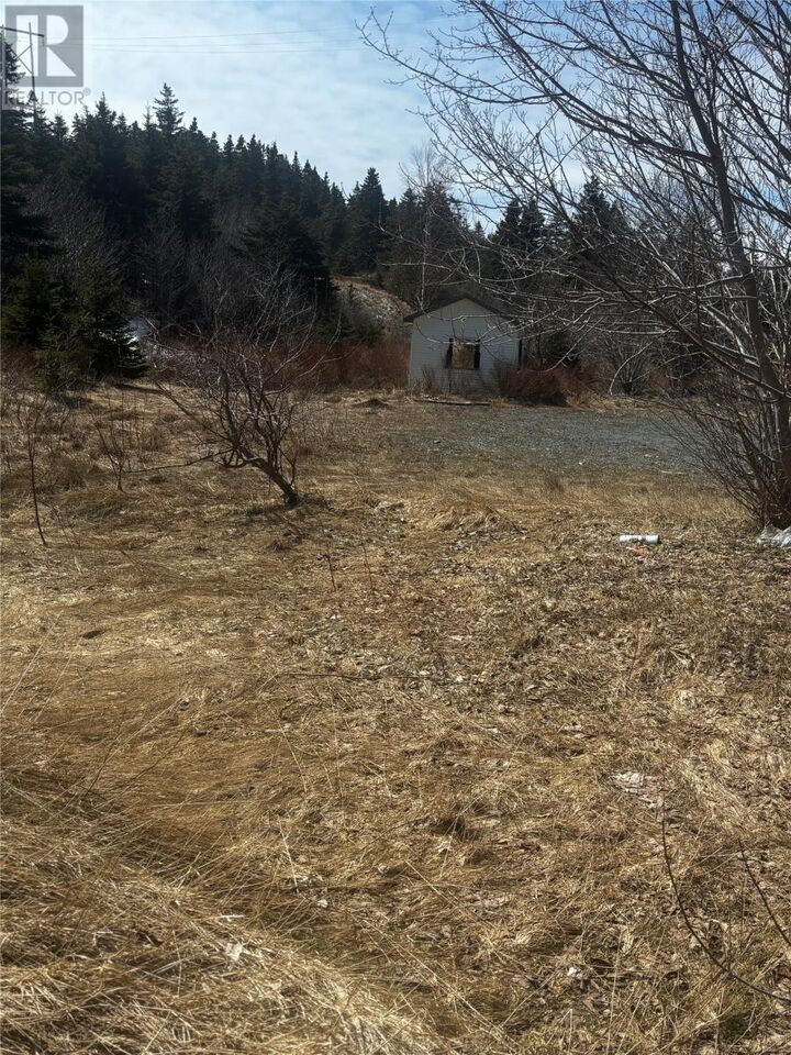 Property Photo:  23-25 Linegar Avenue  NL A0A 1J0 