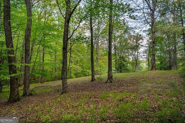 Property Photo:  Lot 3-4 Scouts Overlook Lane  GA 30560 
