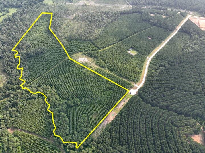 Property Photo:  1 Cody Road  TX 77351 