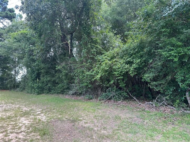 Property Photo:  Tbd Old Israel Road  TX 77351 