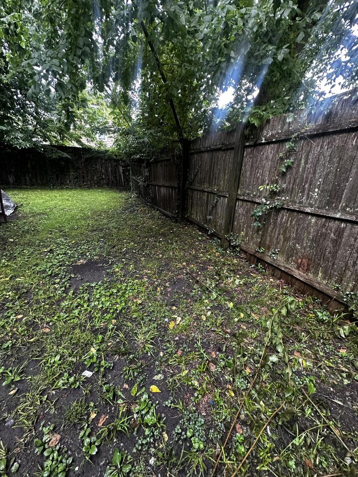 Property Photo:  439 Campbell Street  KY 40508 