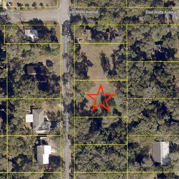 Property Photo:  411 Ivy Avenue  FL 32724 